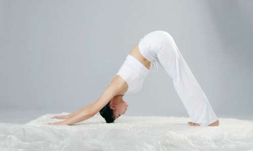 怎样练习瑜伽基本动作