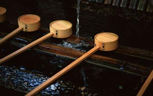 學(xué)習(xí)特色