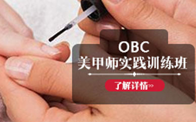 高級(jí)美甲師培訓(xùn)班