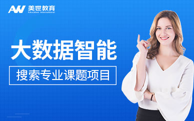 大數(shù)據(jù)智能搜索專業(yè)課題項(xiàng)目