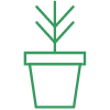 雅思語(yǔ)言基礎(chǔ)