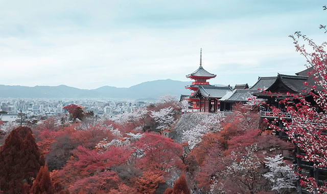 去日本留学需要什么条件