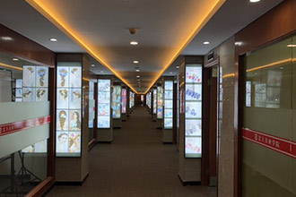展覽