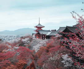 异国文化