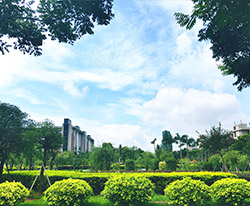 校園風(fēng)景