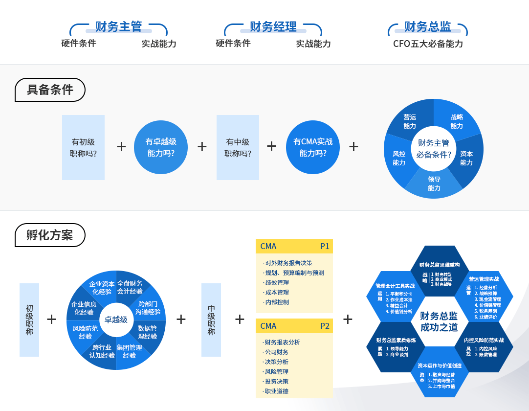 财务总监