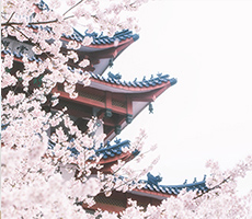 助你跨過(guò)考試難關(guān)
