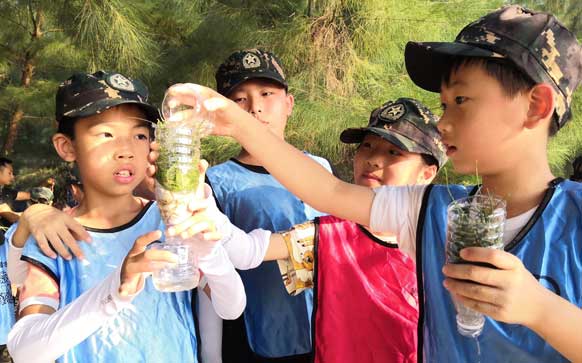 污水凈化