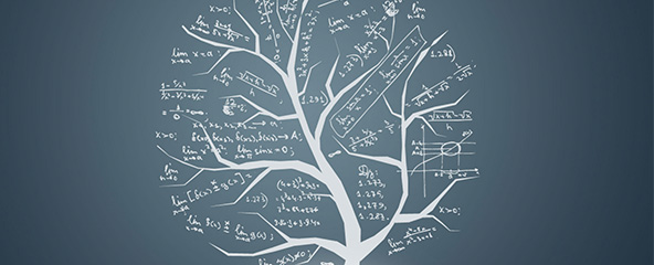 数学框架填基教学法