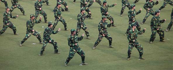 未來領(lǐng)袖軍事夏令營（7天6夜）