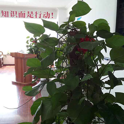 学校前台