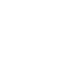 雙師教學(xué)