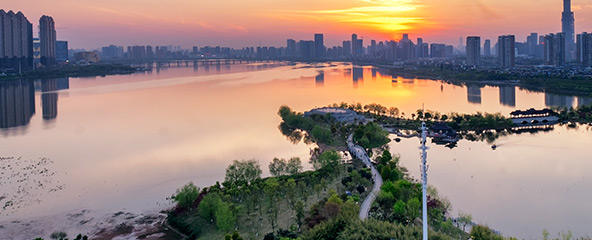 強(qiáng)化階段
