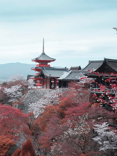 啟德優(yōu)勢