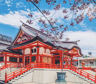 啟德優(yōu)勢
