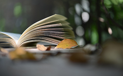 短時(shí)高效提分