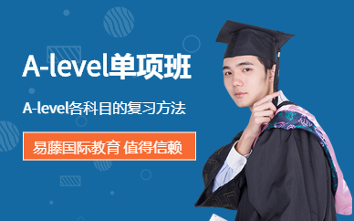 广州alevel培训(单项班)