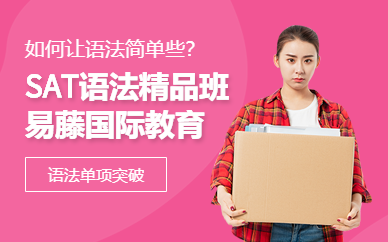 武漢賽達（SAT）語法滿分精品班
