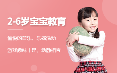 广州2-6岁宝宝教育
