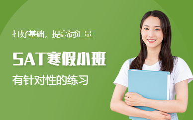 濟南寒假SAT資深老師3-5人mini班