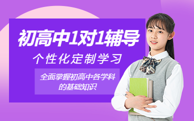 北京初高中1對1在線輔導