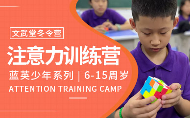 專注力訓(xùn)練冬令營