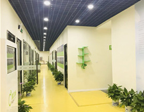 机构走廊