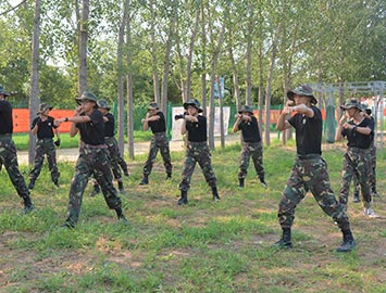 軍體拳