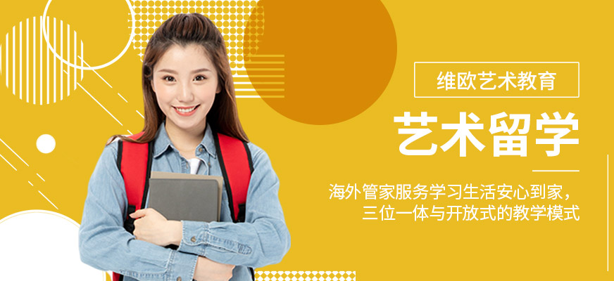維歐藝術(shù)教育