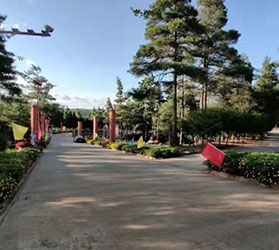 學習環(huán)境