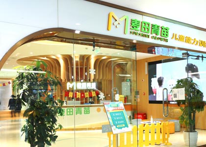 麥田青苗機(jī)構(gòu)簡(jiǎn)介