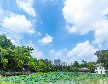 模塊化教學(xué)
