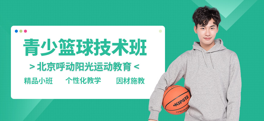 北京呼动阳光青少篮球技术班