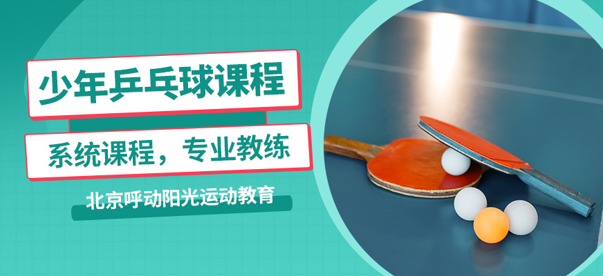 北京呼动阳光青少乒乓球课程