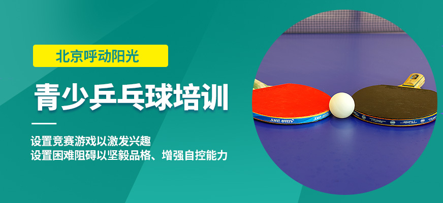 北京呼动阳光青少乒乓球培训