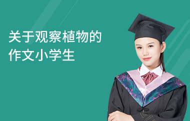 關(guān)于觀察植物的作文小學(xué)生