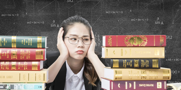 蘇州新與成國際教育好不好
