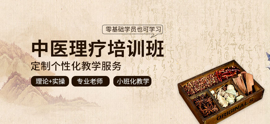 善手教育中醫(yī)理療培訓