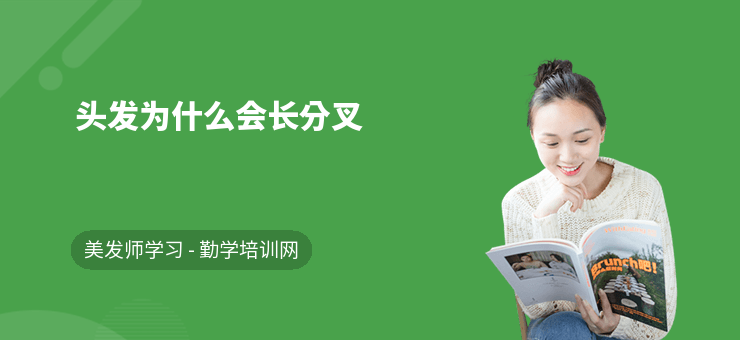 頭發為什么會長分叉