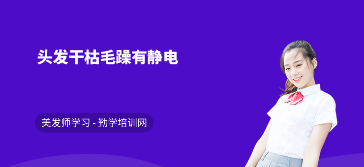 頭發(fā)干枯毛躁有靜電