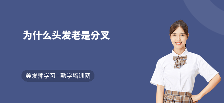 為什么頭發(fā)老是分叉