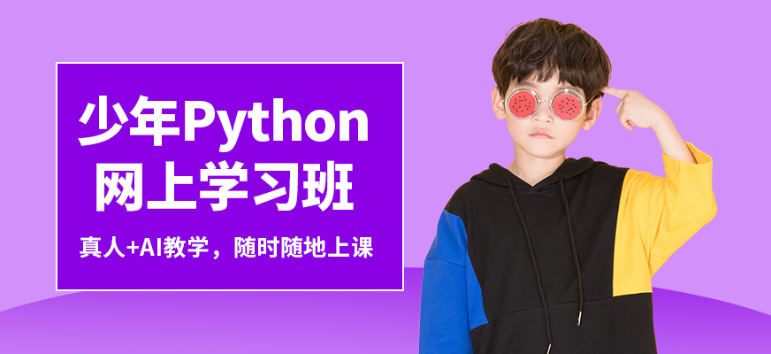 極客晨星少年Python網上學習班