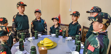 標(biāo)準(zhǔn)餐食