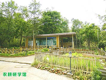 農(nóng)耕體驗