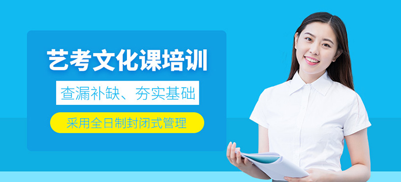 藝考文化課培訓(xùn)