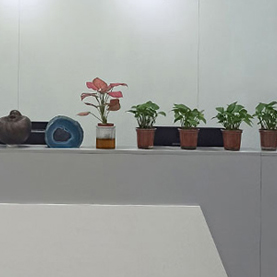 凌蒙國際教育