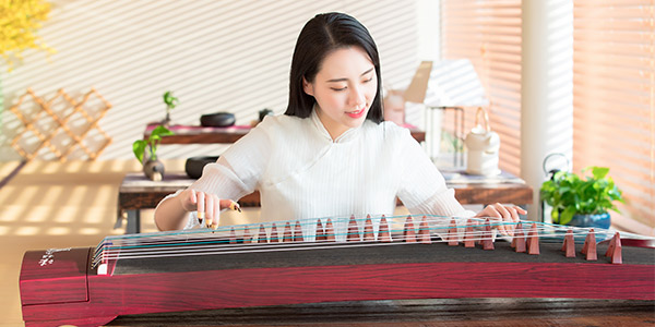 樂器學(xué)習(xí)類型