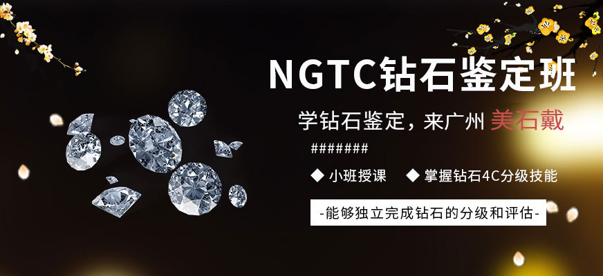 广州ngtc钻石分级课程