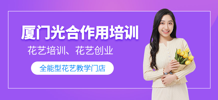 廈門光合作用培訓