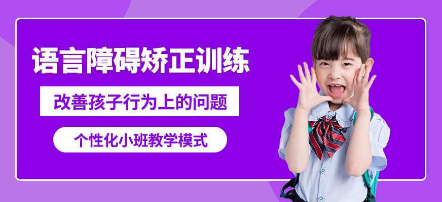 雅恩輔育語言障礙矯正訓(xùn)練